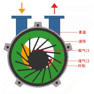 水環(huán)式真空泵工作原理圖