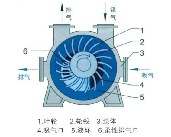 水環真空泵